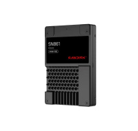 SanDisk Carrera Syndicate SSD 12.8TB DC, SN861, PCIe Gen5, (R:13700, W:8400MB/s), BICS6 TLC NVMe U.2, SE,Generic