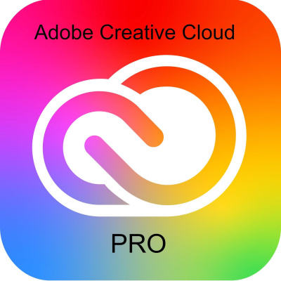Adobe Creative Cloud Pro for teams MP ML (+CZ) Government 1 User, 12 Months, Level 2, 10 - 49 Lic
