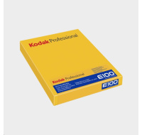 Kodak Ektachrome E100 8x10 10 Sheets
