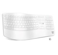 CONNECT IT FOR HEALTH Ergonomická klávesnice ErgoOffice, Bezdrátová, CZ+SK, bílá