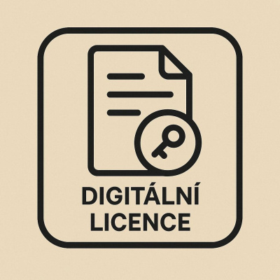 PAC-MAN 256 (PC) klíč Steam