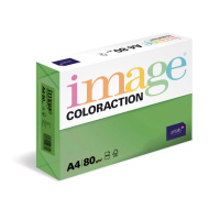 Antalis Papír Image Coloraction Dublin - tmavě zelená (DG47) A4 (80g/100ks)